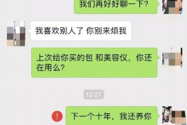 大丰债务清欠服务